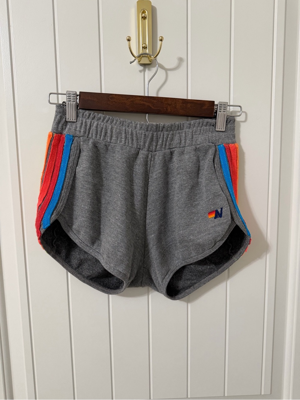 Aviator Nation Shorts